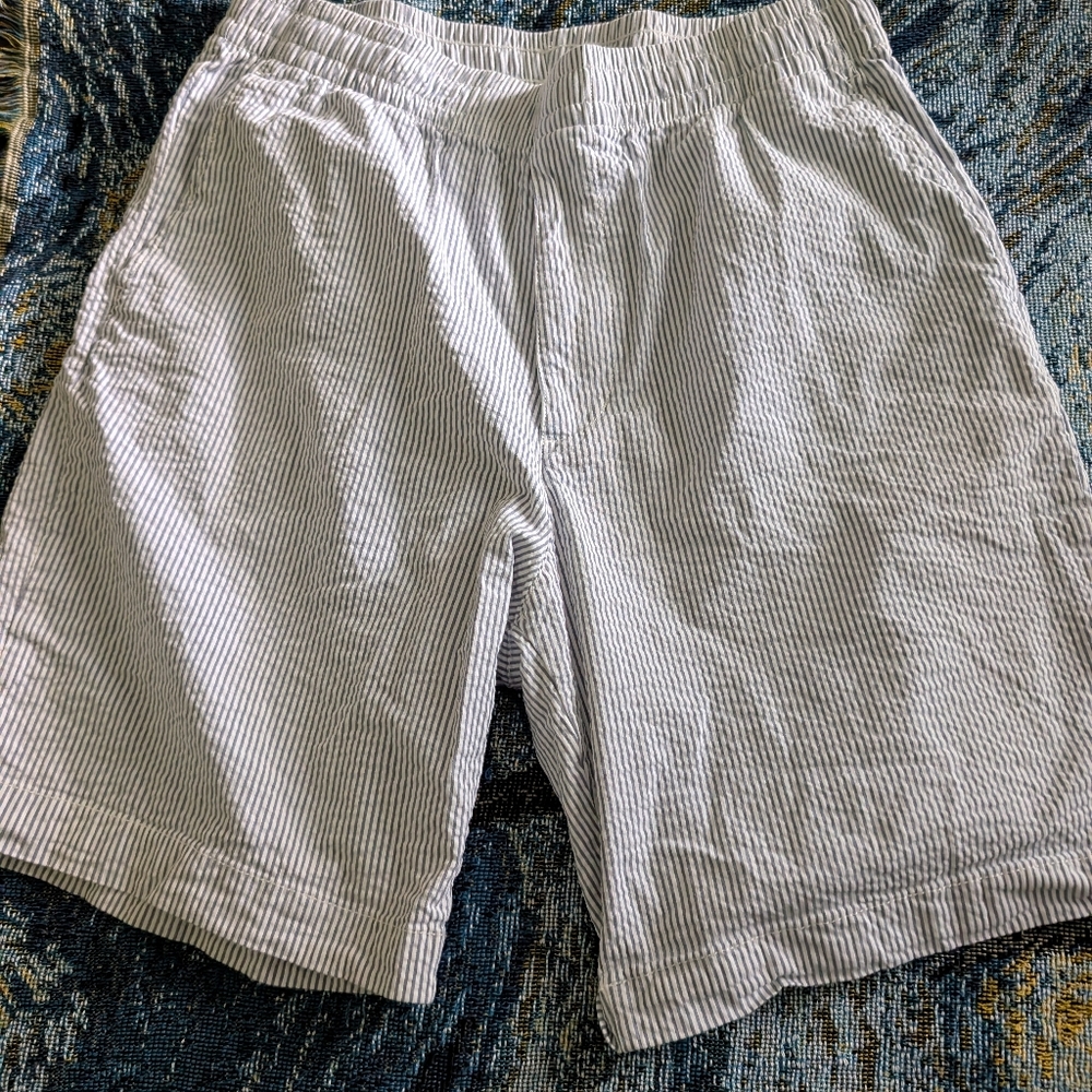 Uniqlo Blue and White Seersucker Shorts